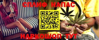 шишки Краснодар