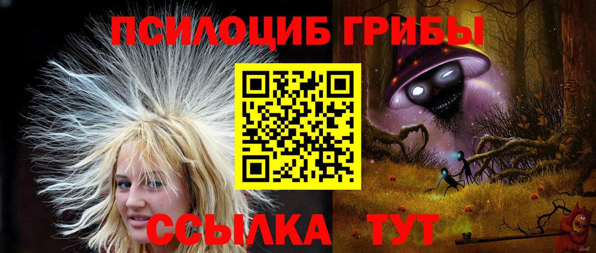 Псилоцибиновые грибы мицелий  Вход с VPN  Псилоцибиновые грибы MAGIC MUSHROOMS  Чехов 